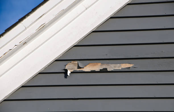 Affordable Siding Repair and Maintenance Services in Sleepy Hollow, IL